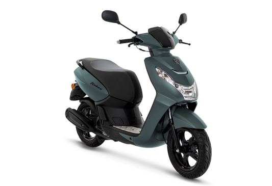 Kisbee Shadow 45km/h (AM)